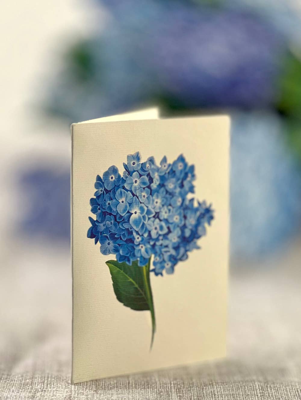 Nantucket Hydrangeas (8 Pop-up Greeting Cards)