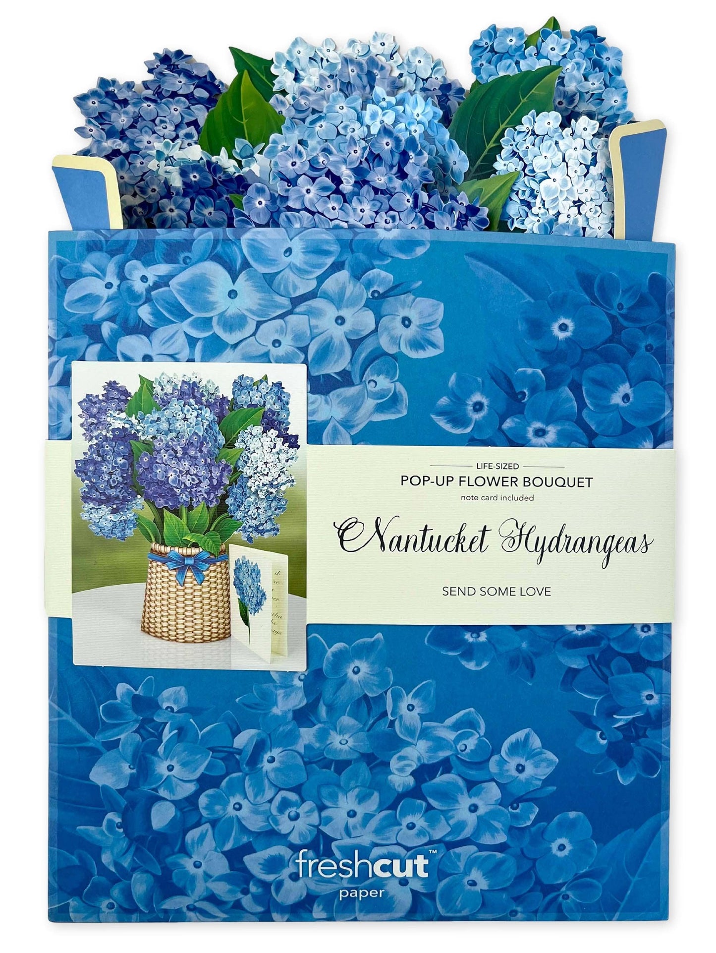 Nantucket Hydrangeas (8 Pop-up Greeting Cards)