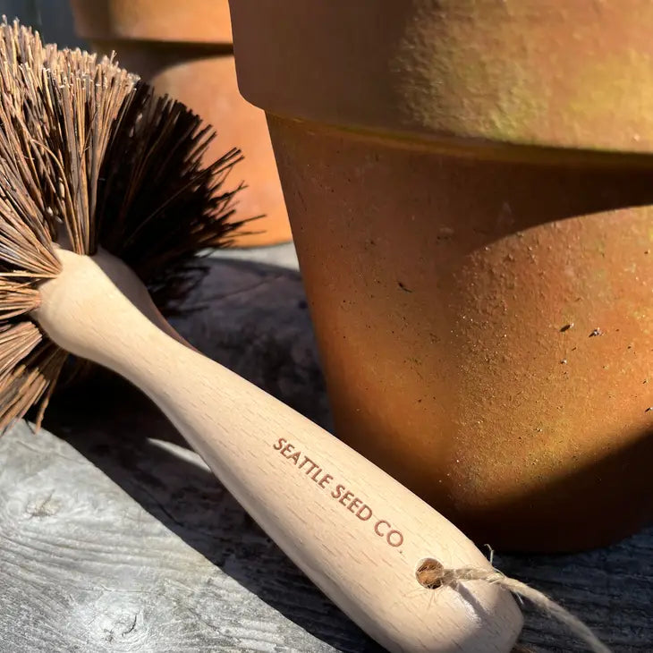 Plant Pot Cleaning Brush