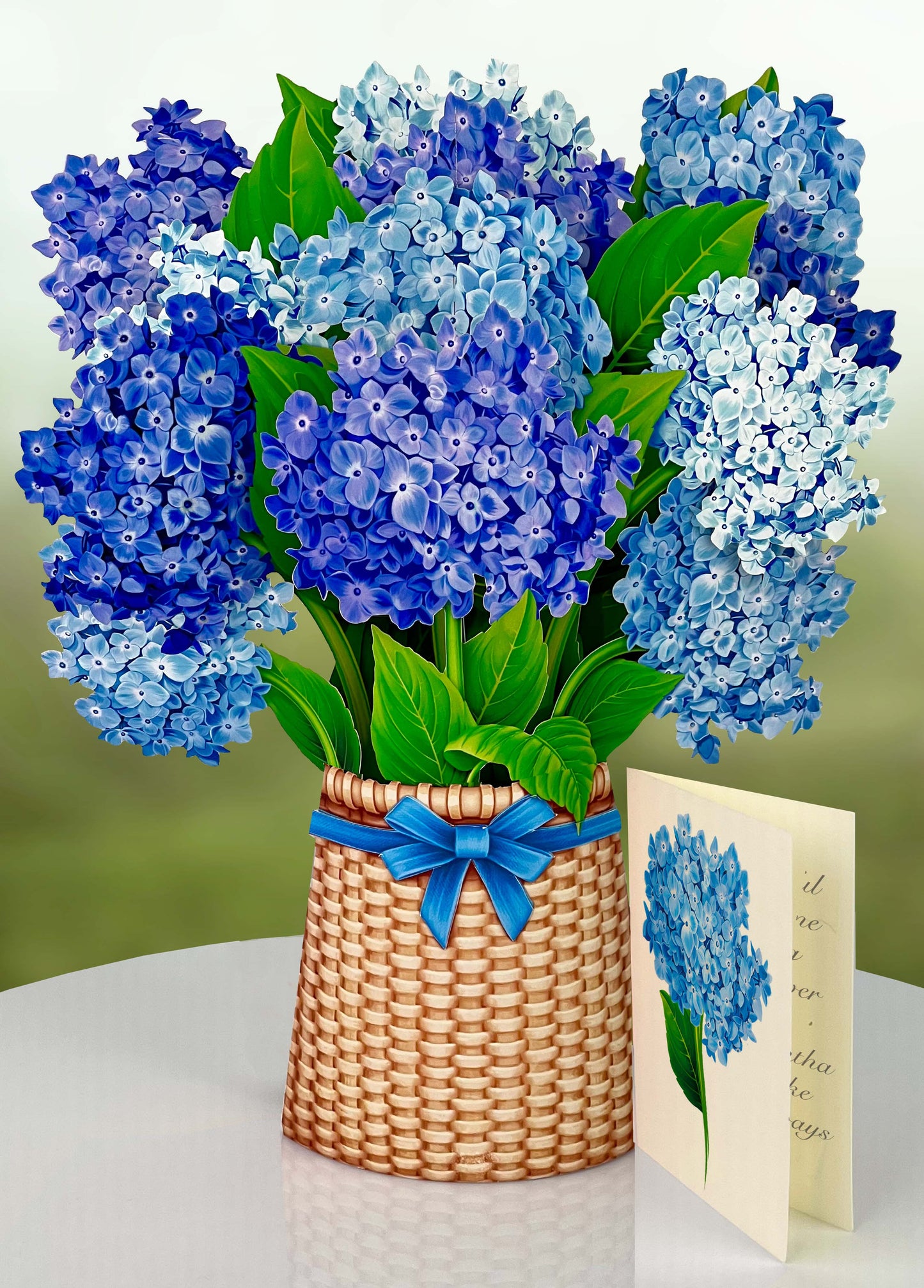 Nantucket Hydrangeas (8 Pop-up Greeting Cards)