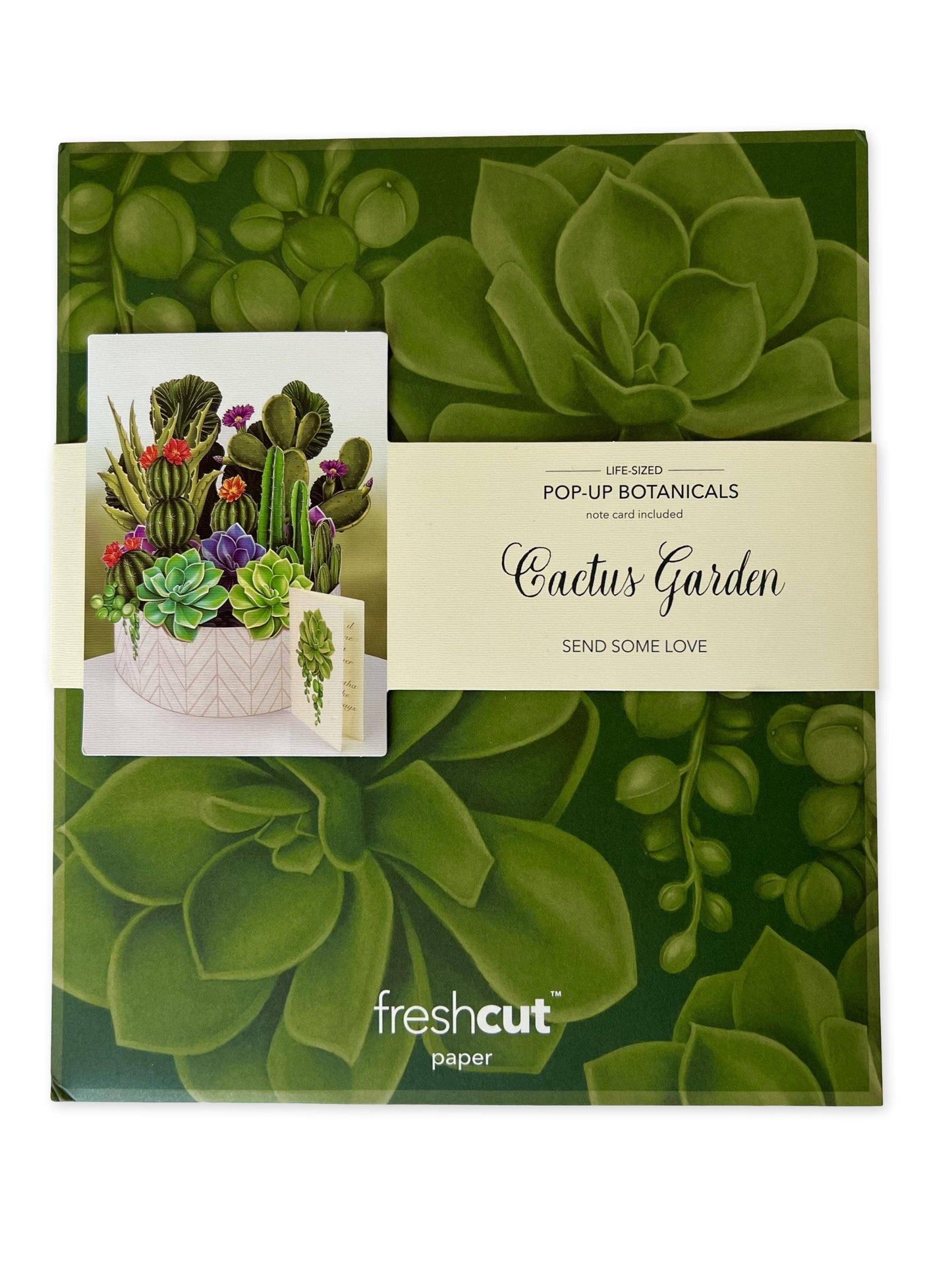 Cactus Garden (8 Pop-up Greeting Cards)
