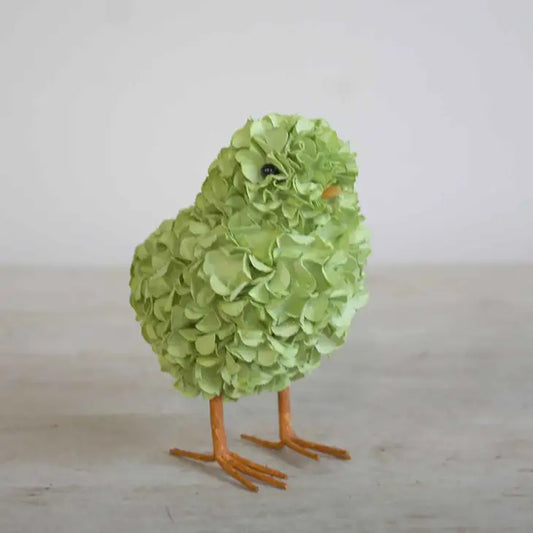 Hydrangea Chick Green