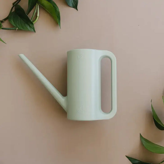 Packer Plant Co Watering Can-Seafoam